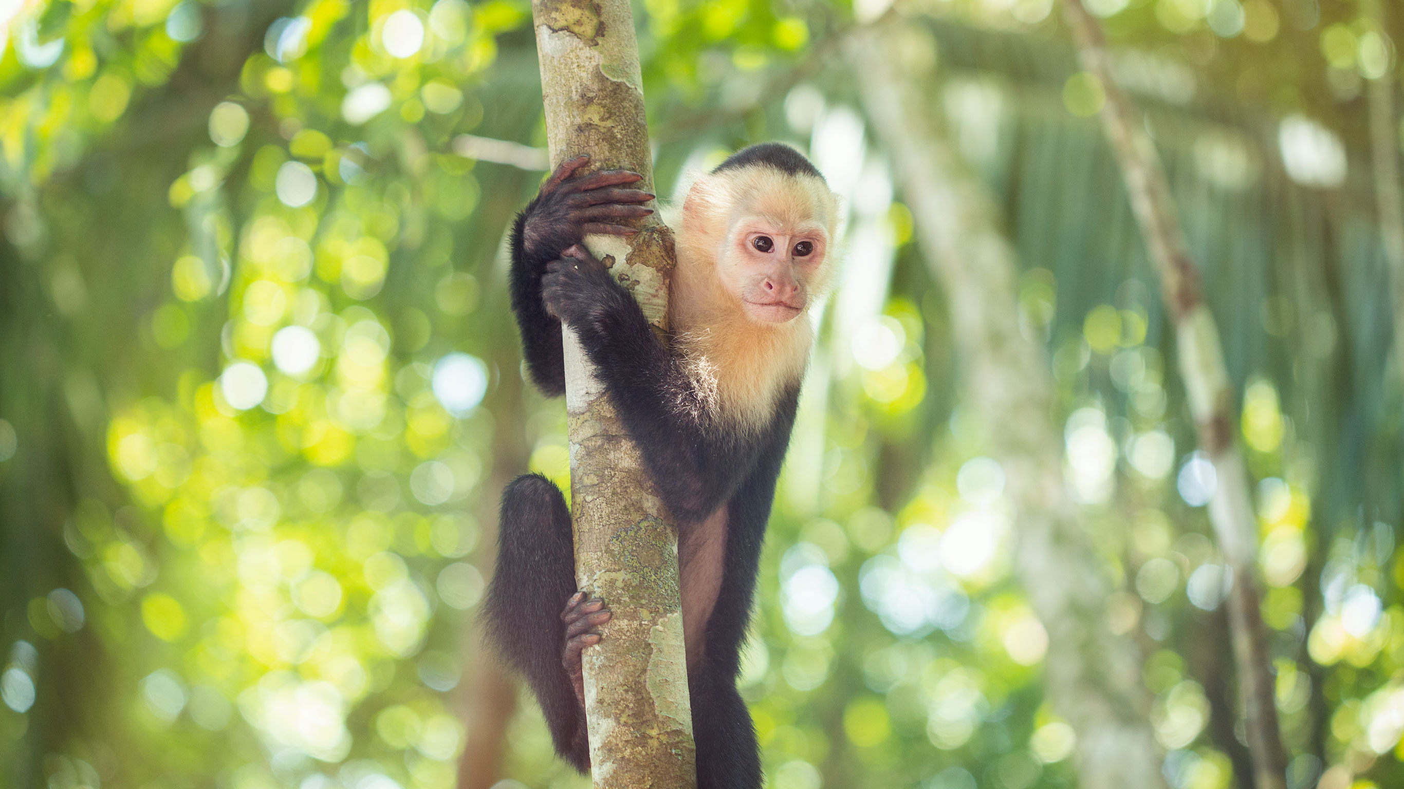 Costa Rica Family Experience - 9 Days