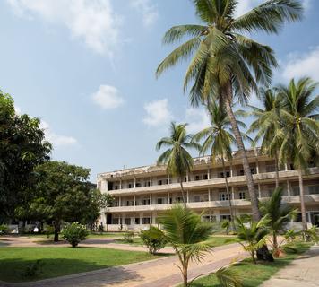 Image 15