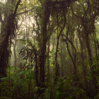 Journeys: Highlights of Costa Rica - 9 Days