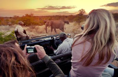 Journeys: Explore Kruger National Park - 7 Days