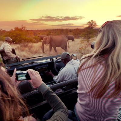 Journeys: Explore Kruger National Park - 7 Days