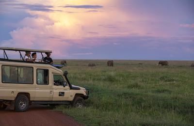 Journeys: Tanzania Safari Experience - 7 Days
