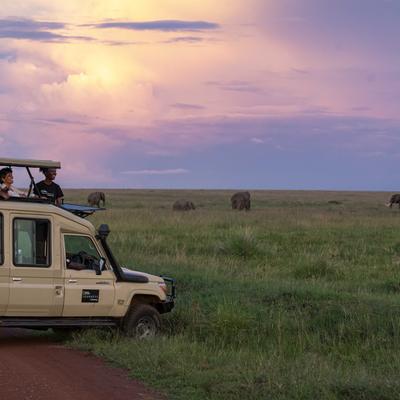 Journeys: Tanzania Safari Experience - 7 Days