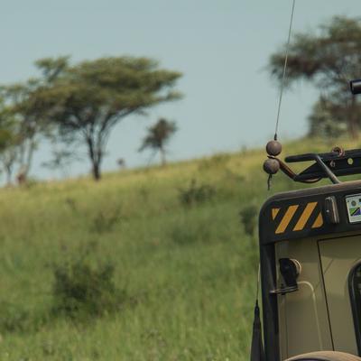 Journeys: Tanzania Safari Experience - 7 Days