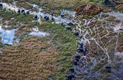Journeys: Southern Africa Safari Experience - 18 Days