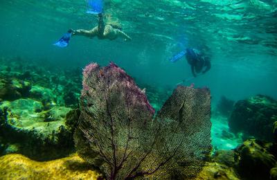 Journeys: Explore Belize - 9 Days