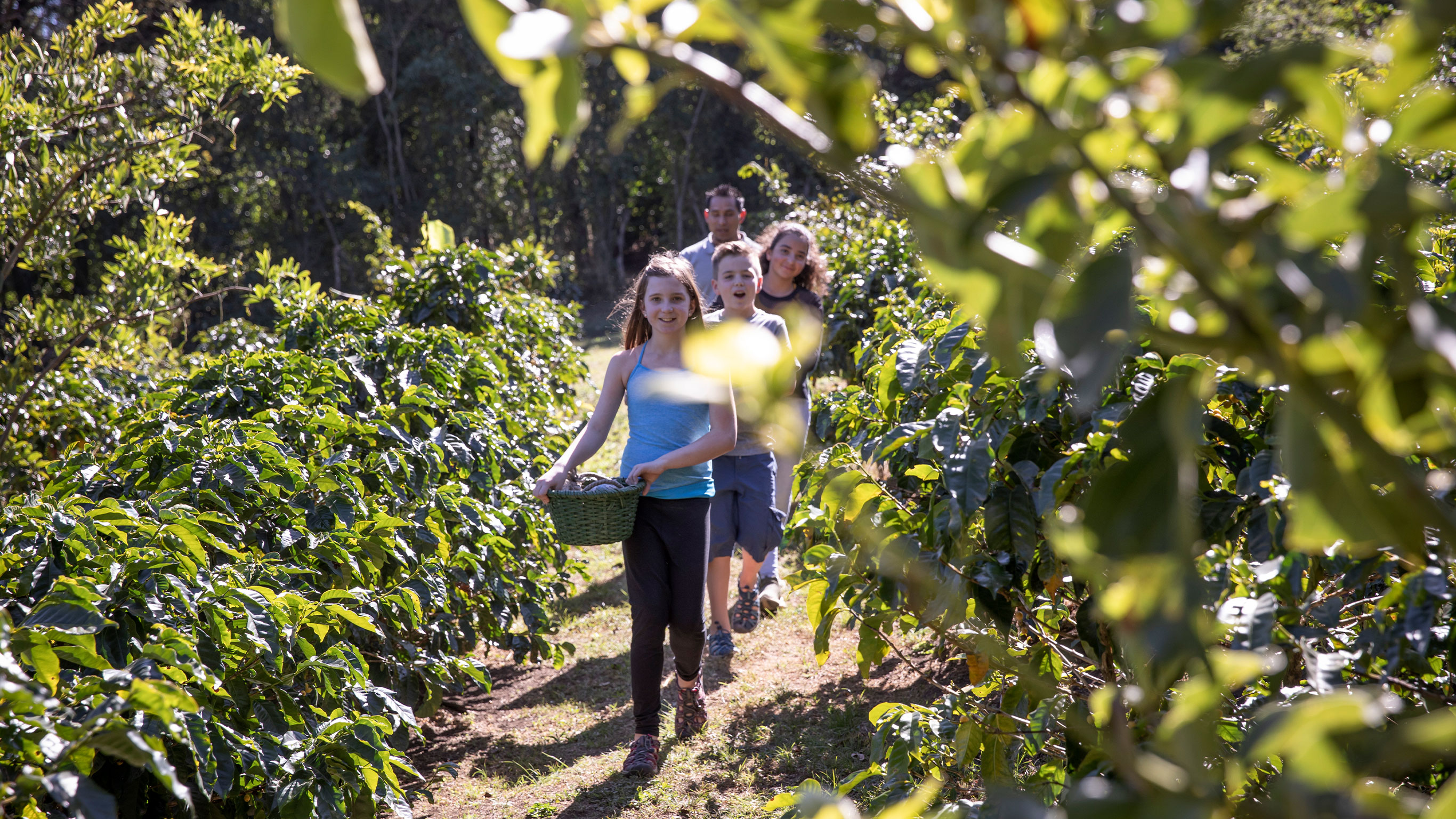 Costa Rica Family Journey: From Rainforest to Coast - 9 Days