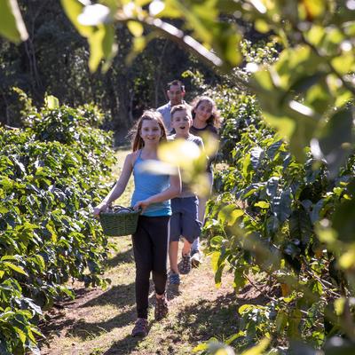 Costa Rica Family Journey: From Rainforest to Coast - 9 Days
