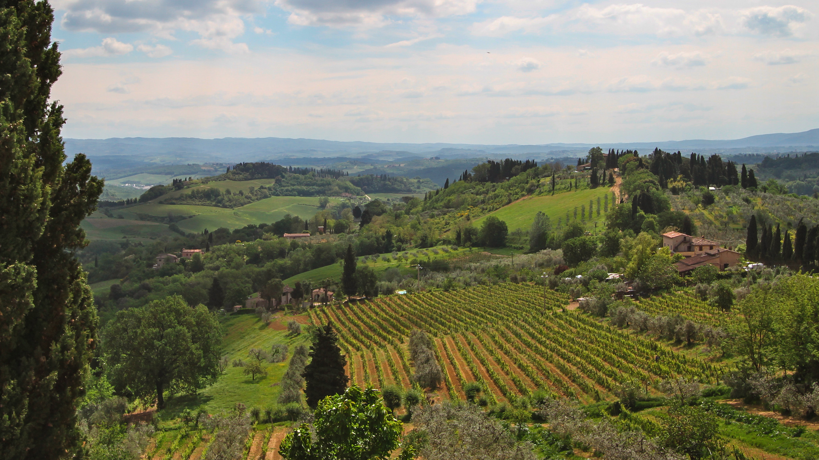 Italy: Tuscany and Umbria Vineyard Walks - 8 Days