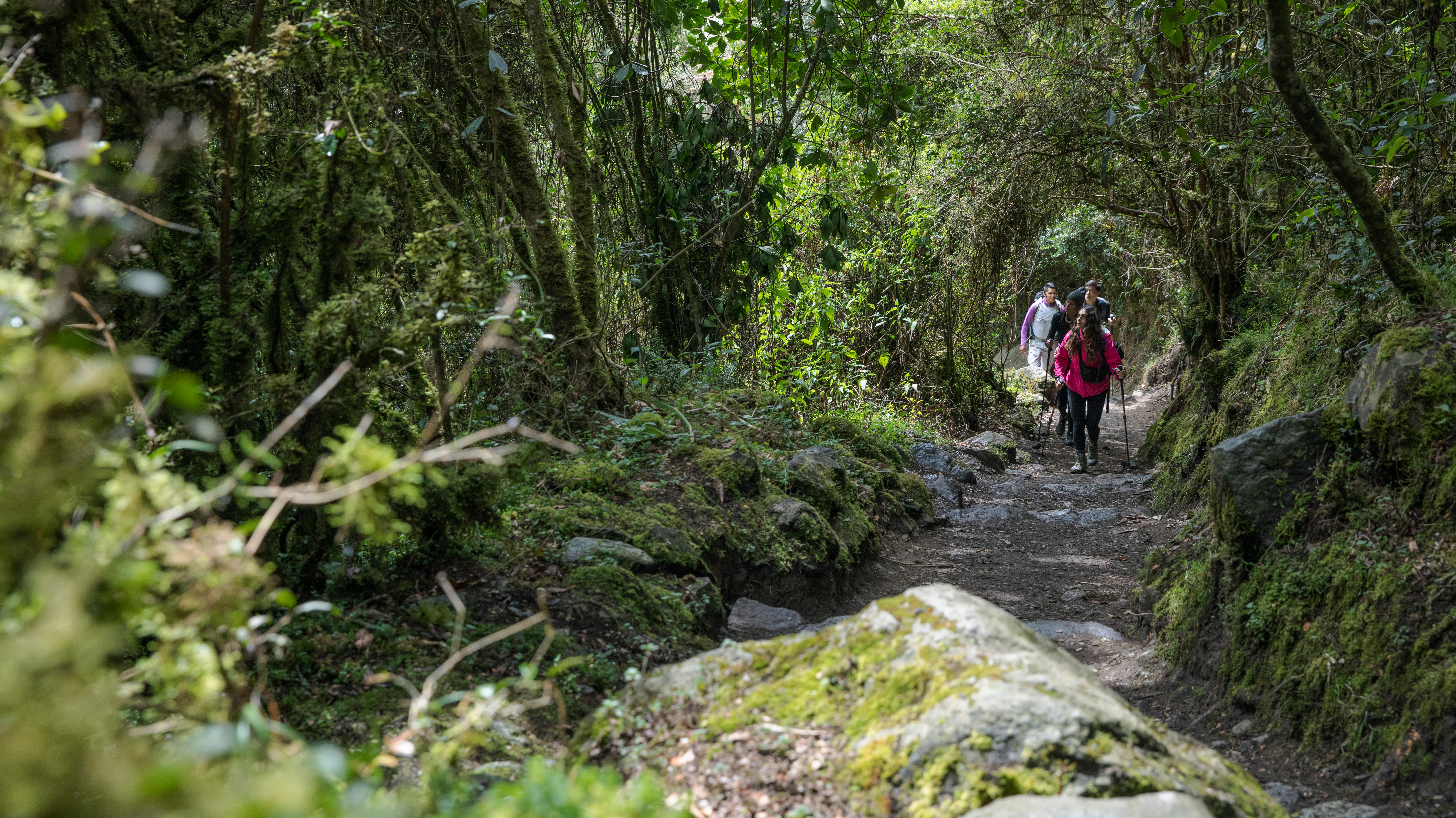 Peru: Inca Trail & the Amazon - 14 Days