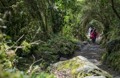Peru: Inca Trail & the Amazon - 14 Days