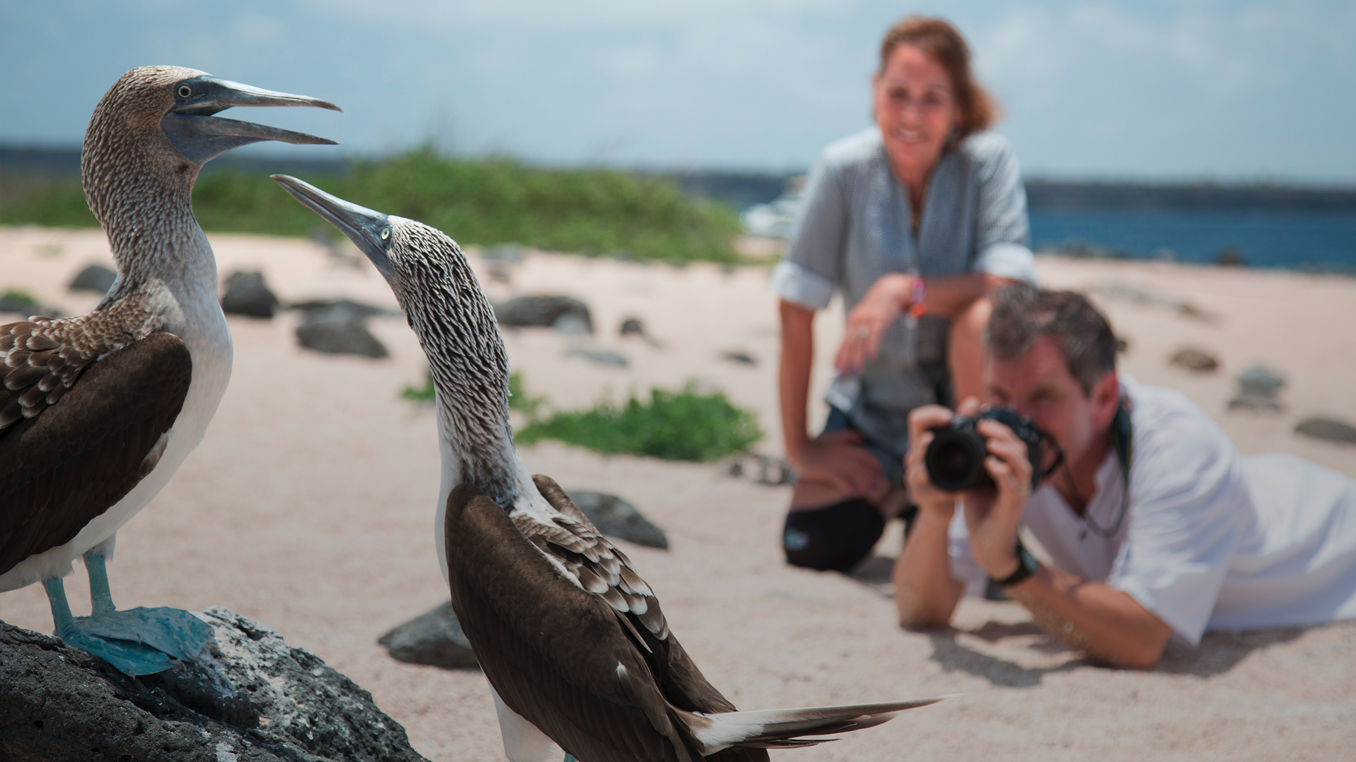 The Galápagos: Wildlife of Santa Cruz & Isabela Islands - 8 Days