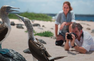 The Galápagos: Wildlife of Santa Cruz & Isabela Islands - 8 Days