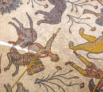 Image 26