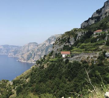 Image 15