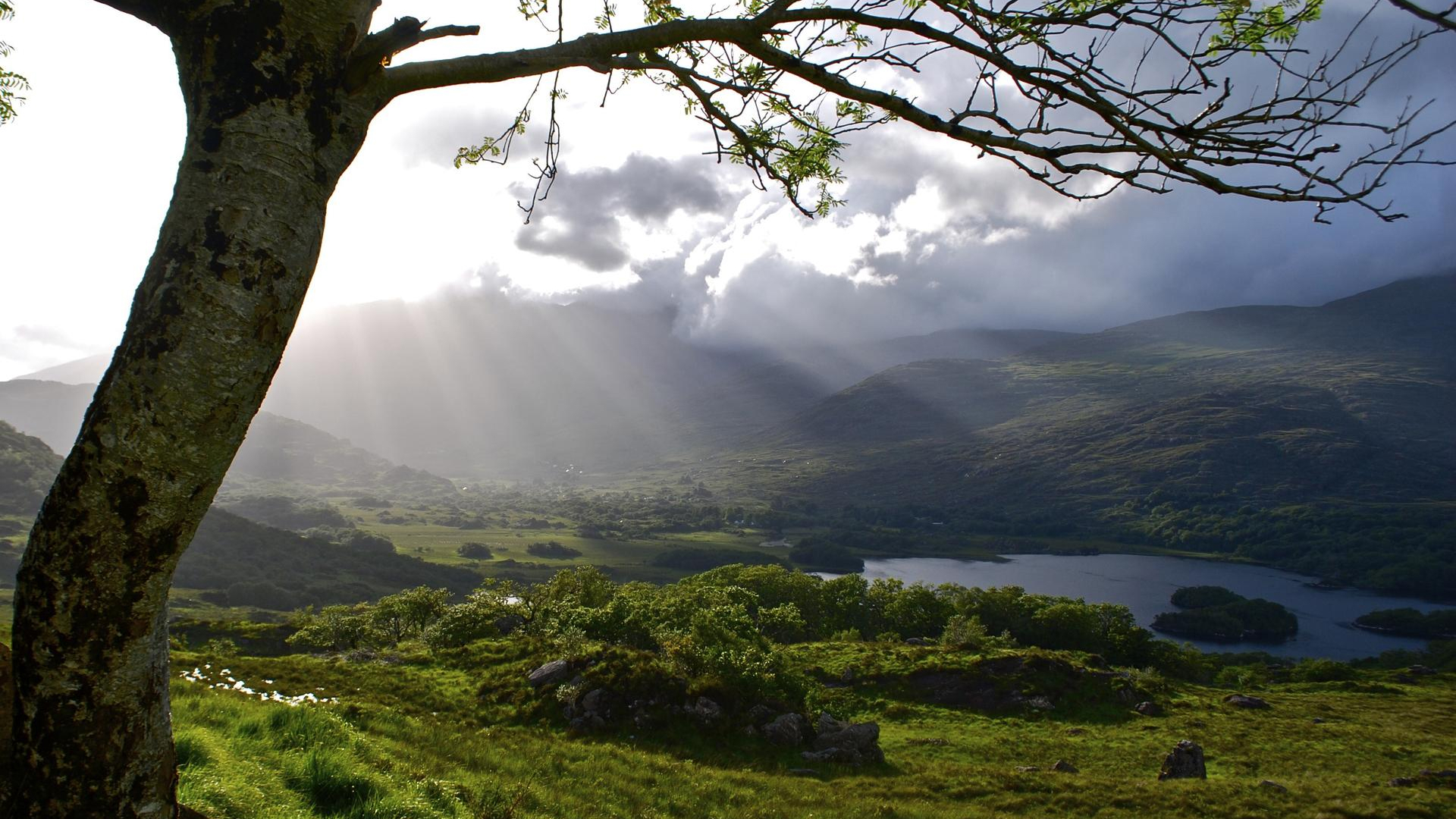 Ireland: Coastal Hikes, The Beara Peninsula & Killarney National Park - 10 Days