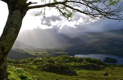 Ireland: Coastal Hikes, The Beara Peninsula & Killarney National Park - 10 Days