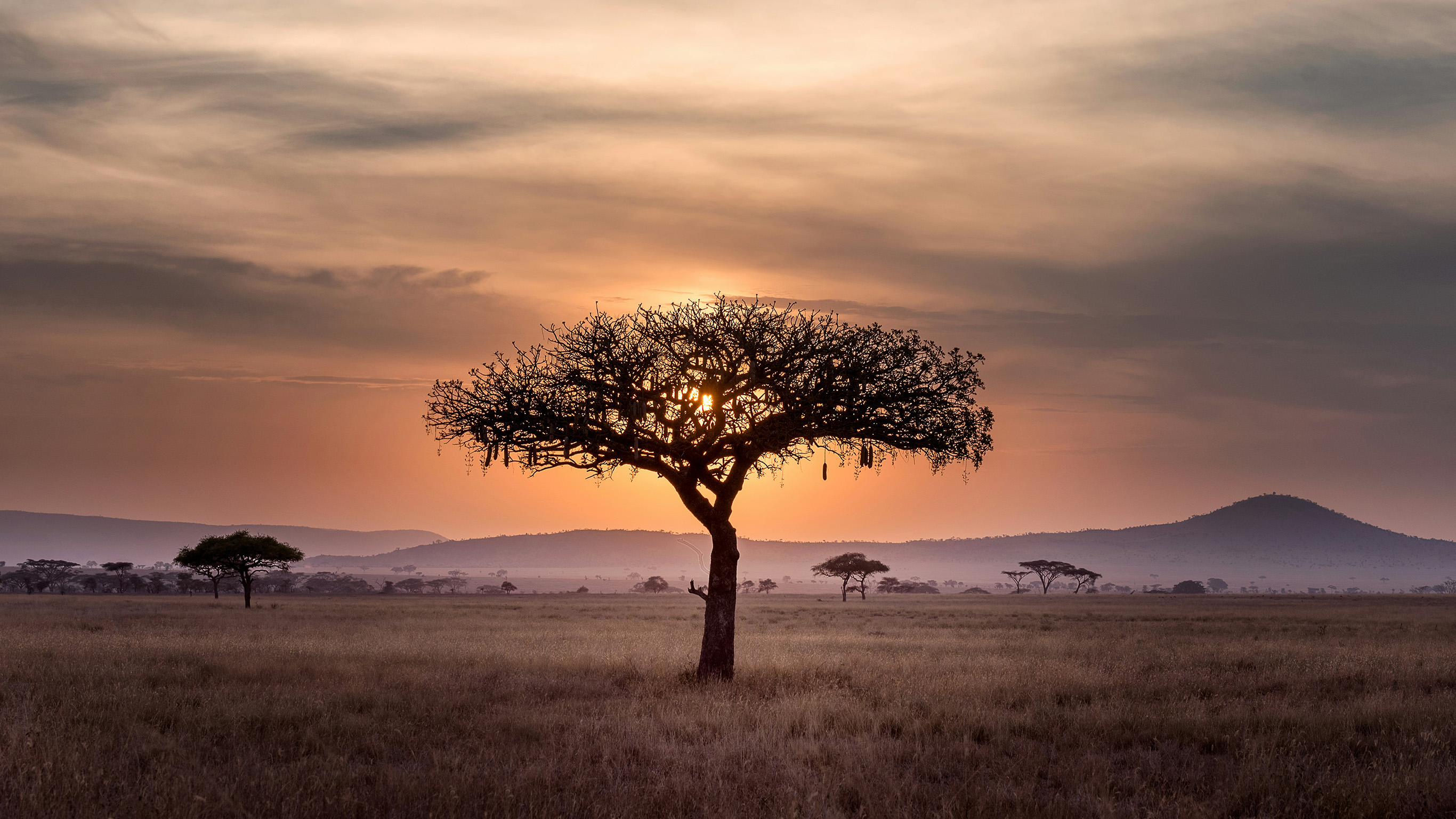 Signature: Tanzania’s Serengeti, Tarangire & Ngorongoro Crater - 8 Days