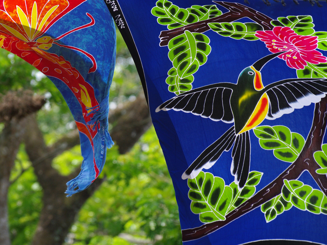 Signature: Costa Rica's Monteverde, Arenal & Guanacaste - 9 Days
