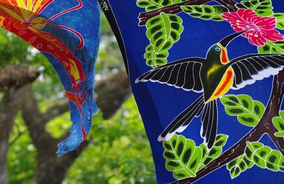 Signature: Costa Rica's Monteverde, Arenal & Guanacaste - 9 Days