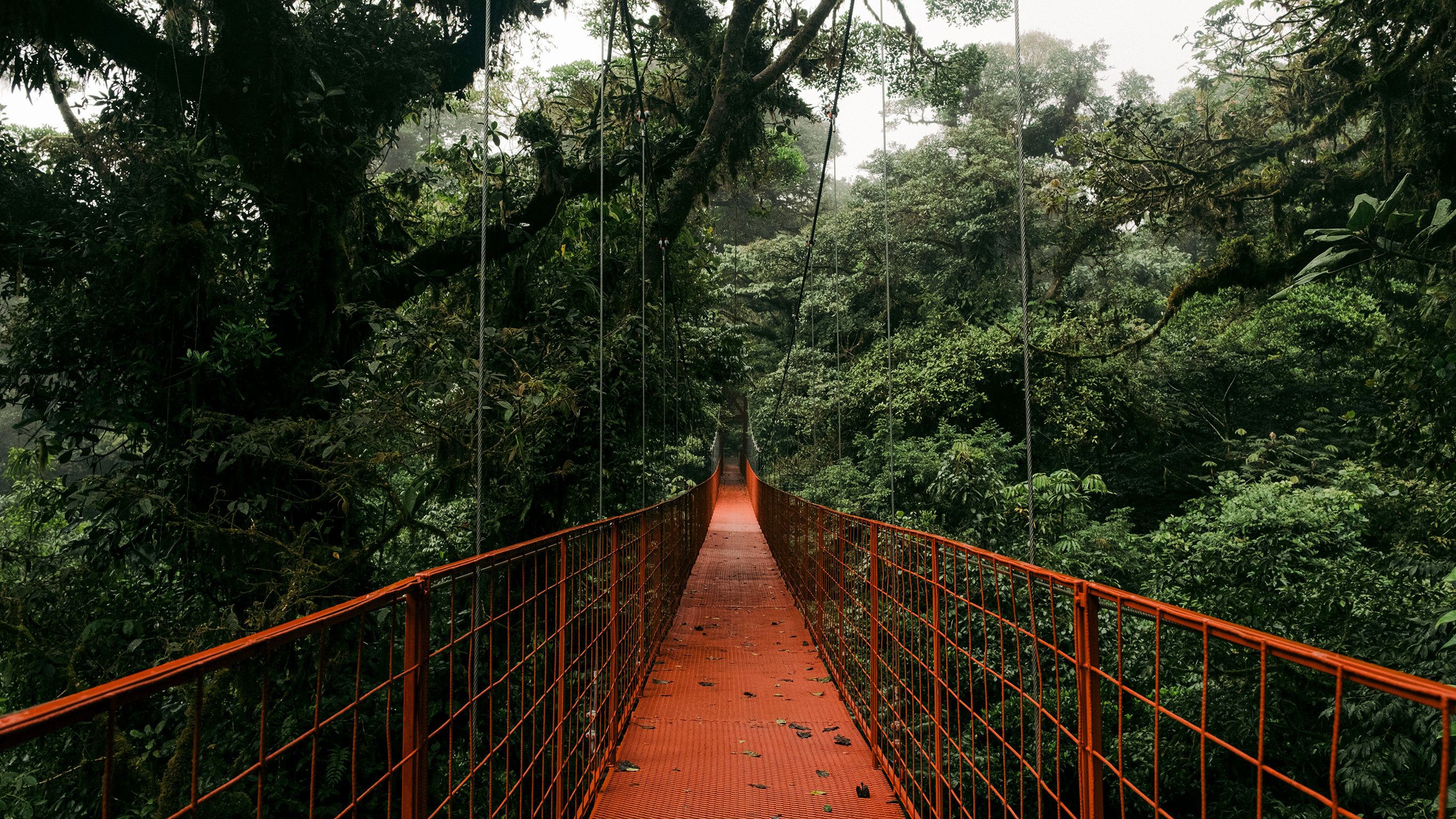 Signature: Costa Rica's Tortuguero, Arenal & Cloud Forests - 12 Days