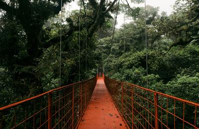 Signature: Costa Rica's Tortuguero, Arenal & Cloud Forests - 12 Days