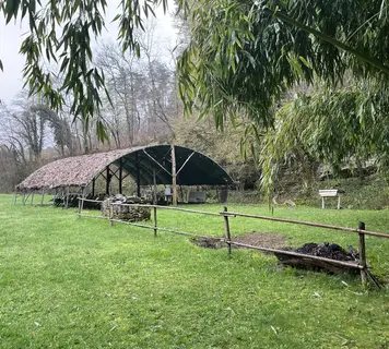 Image 13