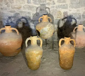 Image 19