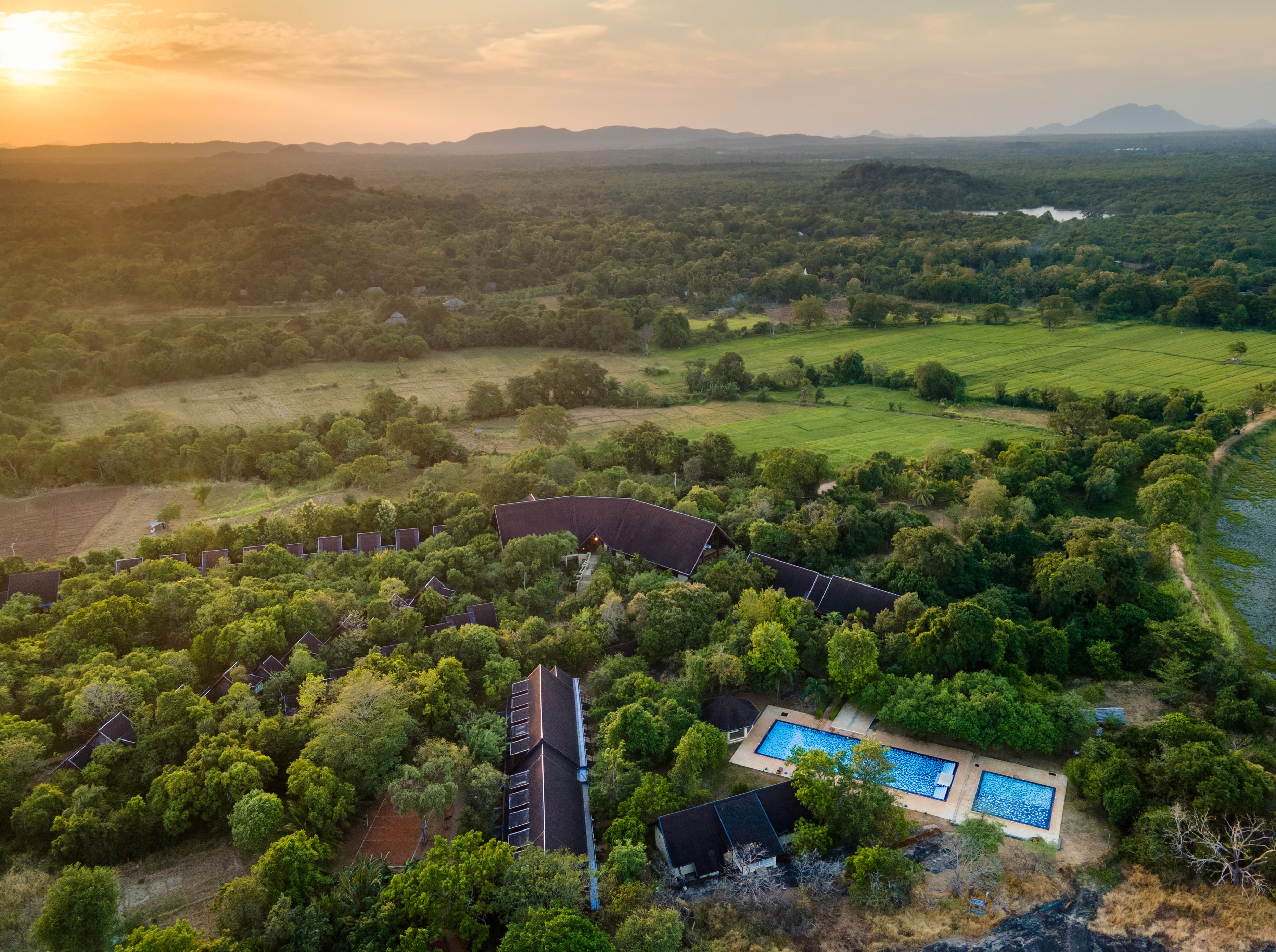 Sri Lanka: Leopard Safaris, Tea Highlands & Ancient Temples - 11 Days