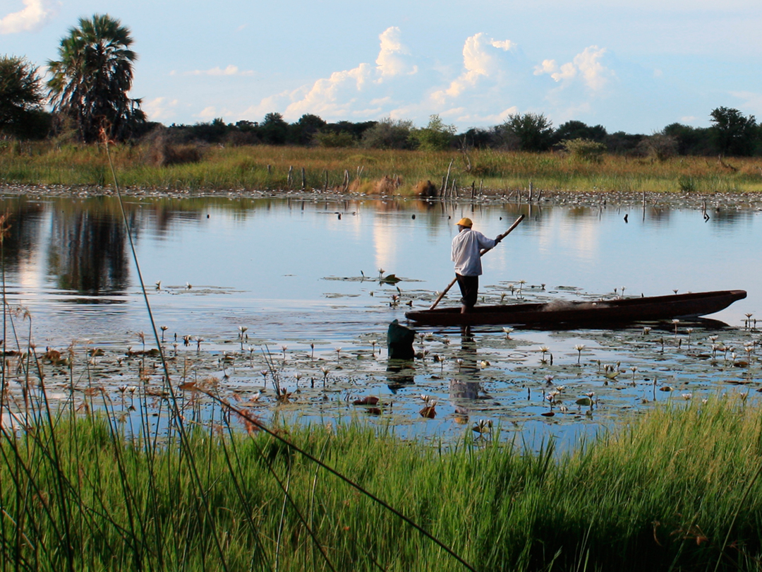Signature: Botswana's Wildlife & the Okavango Delta - 8 Days