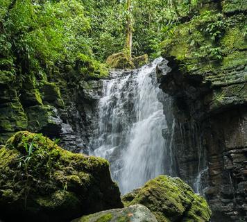 Image 15