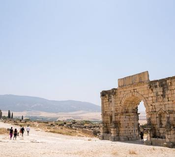 Image 13