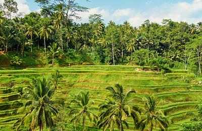 Bali Family Holiday with Teenagers - 8 Days