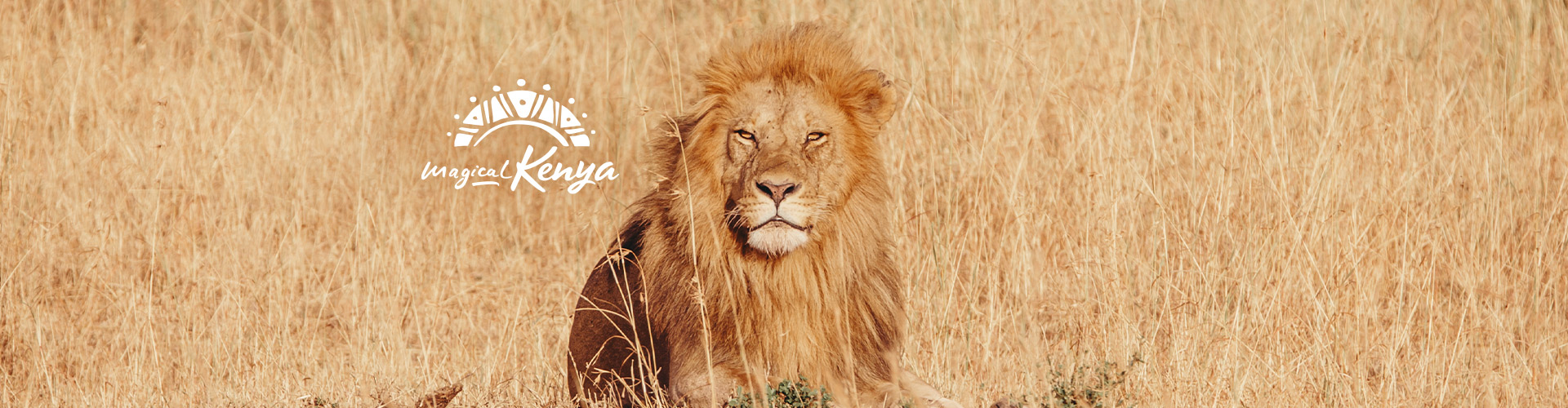 Premium Kenya - 7 Days