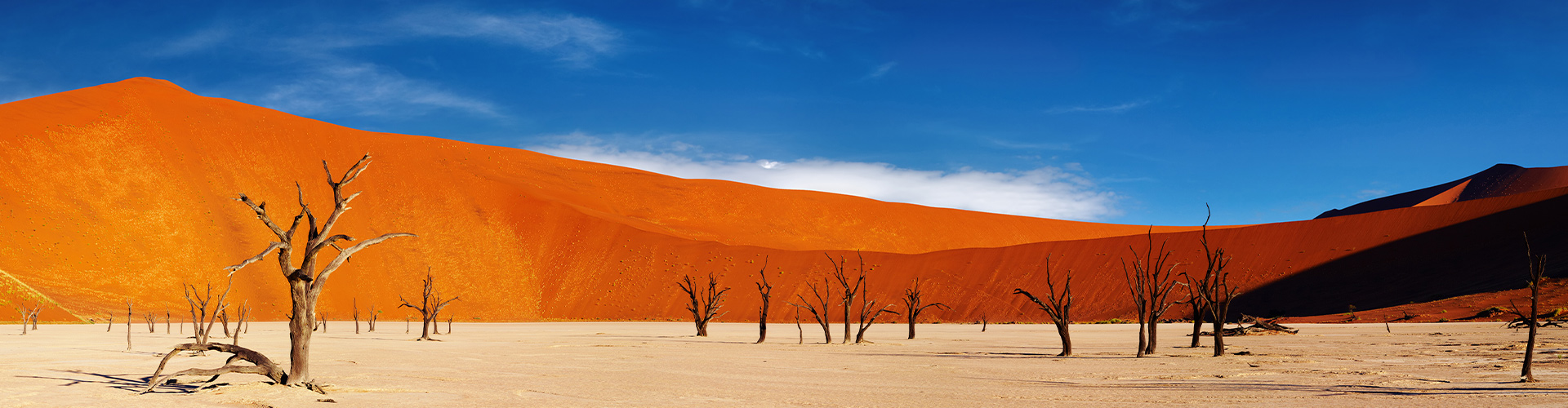 Premium Namibia - 10 Days