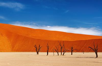 Premium Namibia - 10 Days