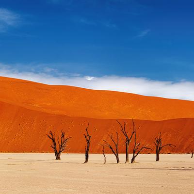 Premium Namibia - 10 Days