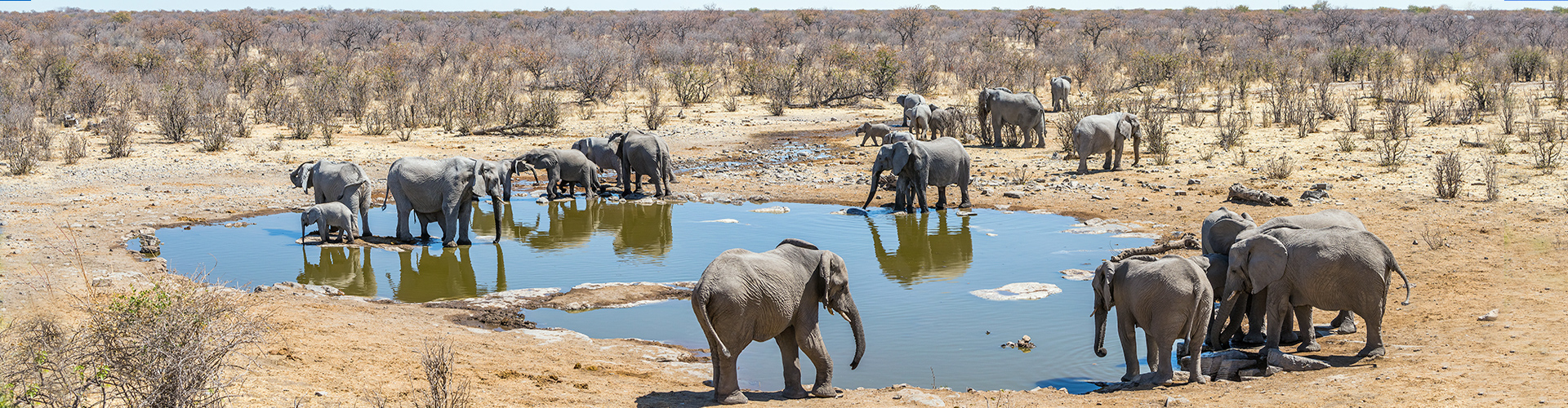 South Africa Family Safari with Teenagers - 12 Days