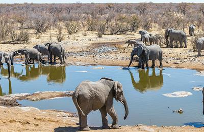 South Africa Family Safari with Teenagers - 12 Days