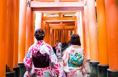 Premium Highlights of Japan - 9 Days