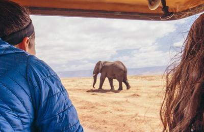 Premium Tanzania - 8 Days