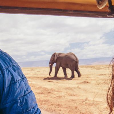 Premium Tanzania - 8 Days