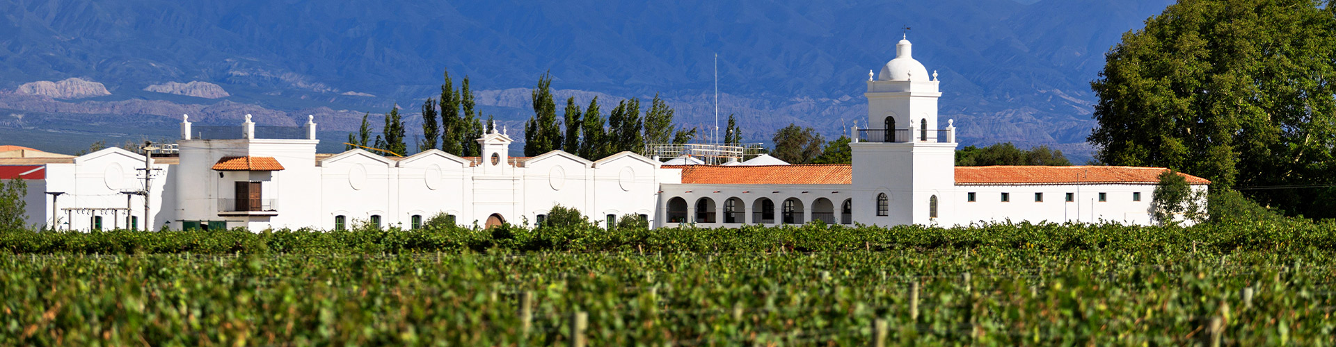 Premium Chile & Argentina - 9 Days