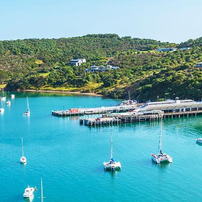 Premium New Zealand North Island - 8 Days