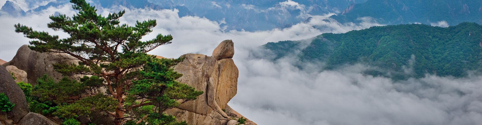 Premium South Korea			 - 9 Days