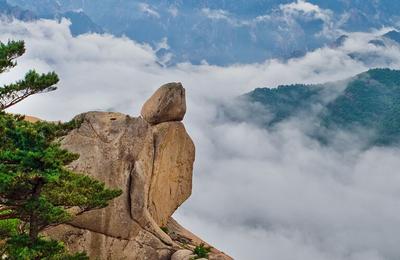 Premium South Korea			 - 9 Days