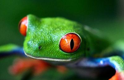 Best of Costa Rica Family Holiday - 14 Days
