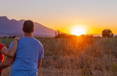 Premium Mexico in Depth - 15 Days