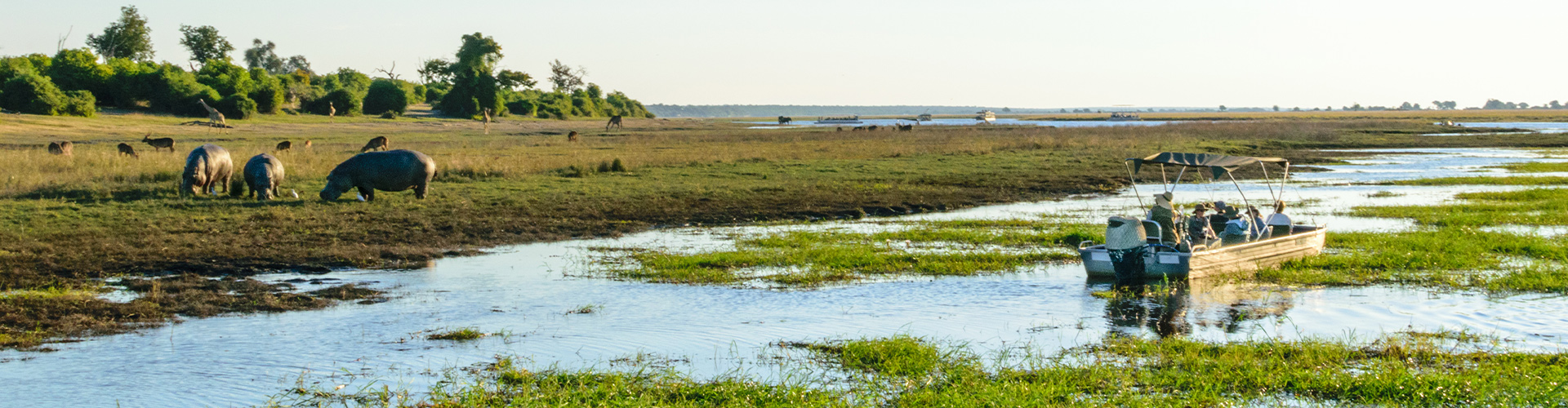 Premium Southern Africa in Depth - 14 Days