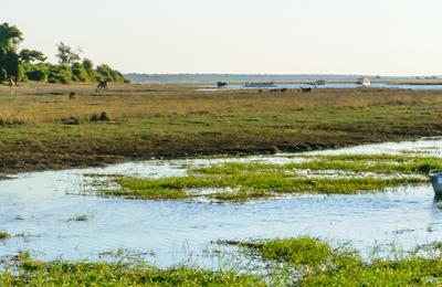 Premium Southern Africa in Depth - 14 Days
